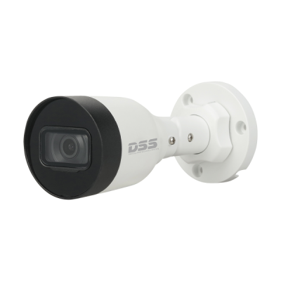 Camera IP Dahua chống ngược sáng WDR DS2431SFIP-S2 4.0 Megapixel (Mp)