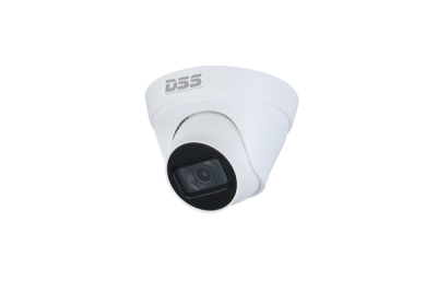 Camera IP Dahua chống ngược sáng WDR DS2431TDIP-S2 4.0 Megapixel (Mp)